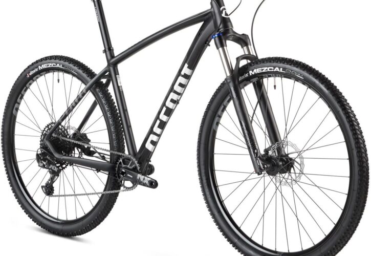 Accent Point Nx Eagle Czarno Biały 29 2022