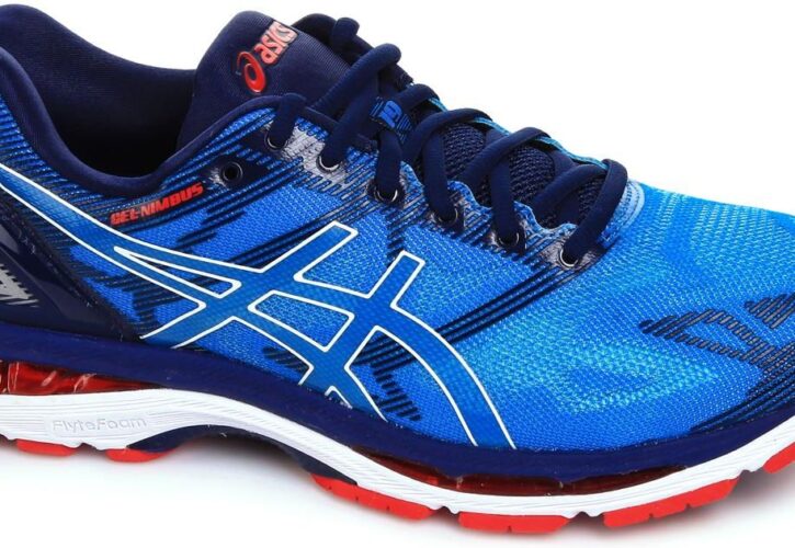 Buty do biegania Asics Gel Nimbus 19 T700N4301