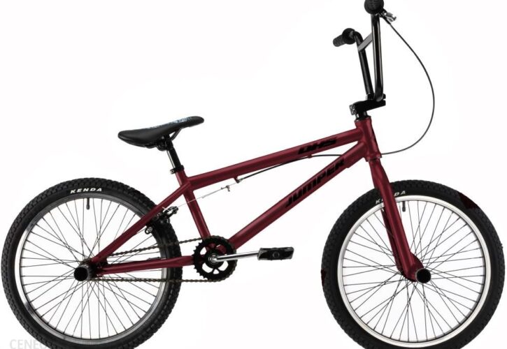 Dhs Freestyle Bmx Jumper 2005 Srebrny 20 2022