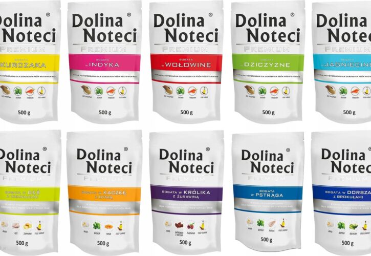 Dolina Noteci Premium MIx Smaków 20X500G