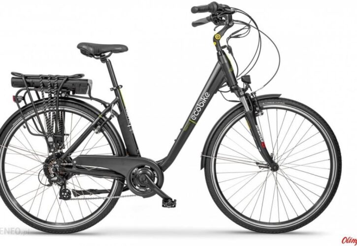 Ecobike Traffic Graphite 26 2022