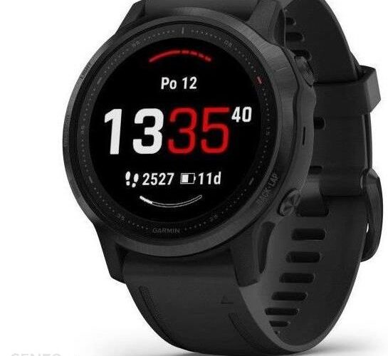 Garmin Fenix 6S Black 0100215914