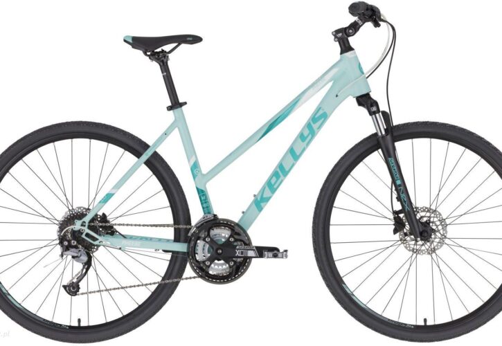 Kellys Pheebe 10 Mint 28 2020