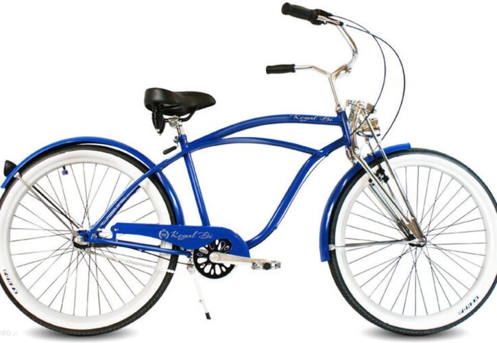 Royalbi Beach Cruiser Pacific Springer Męski Niebieski