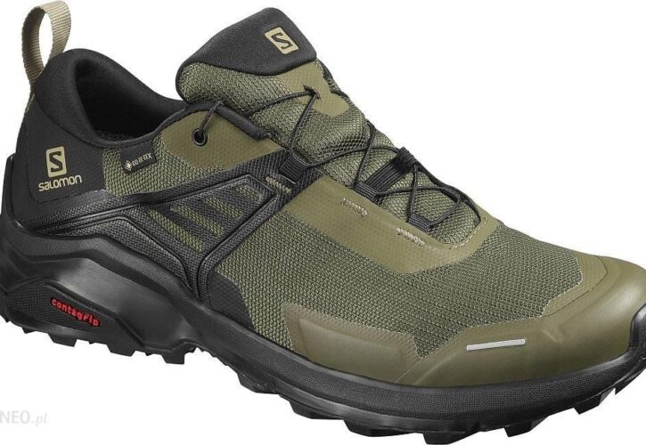 Salomonxraise Gtx Gore-Tex Zielony Czarny 410416