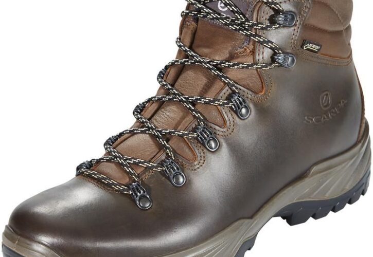 Scarpa Terra Gtx Brązowy