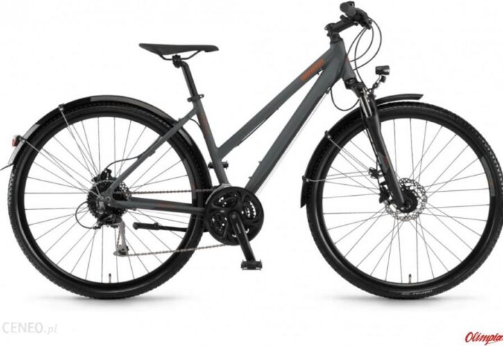 Winora Vatoa 27 Disc Mysterypearl Matt 28 2020